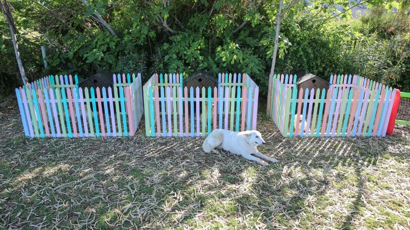 Merit Crystal Cove Hotel Casino & SPA