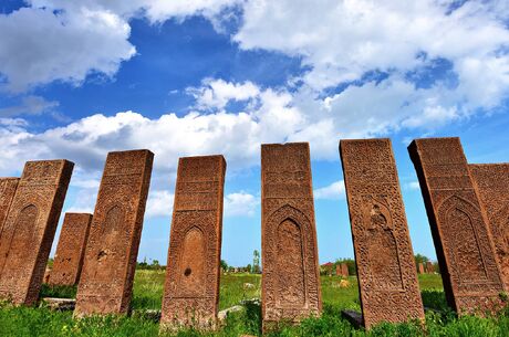 Kars Tatvan Van